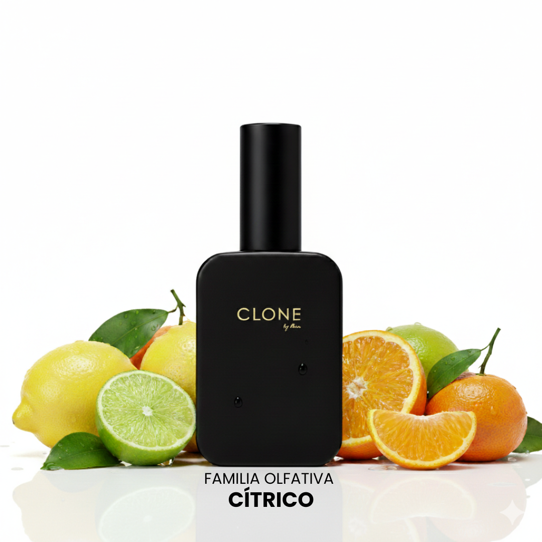 Perfume CLONE By Ana - guia de famílias olfativas
