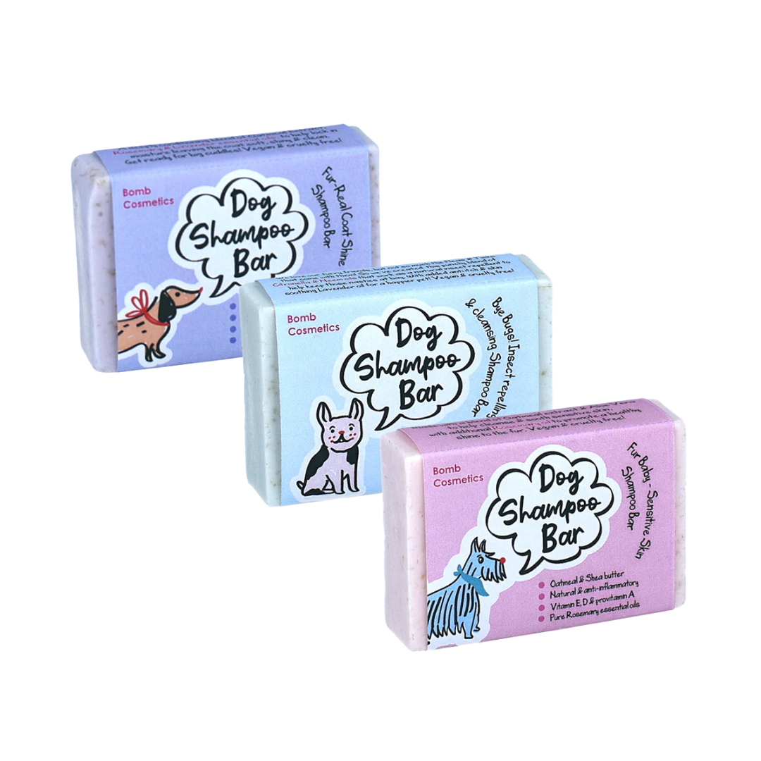 Shampoo Dog - Sólido